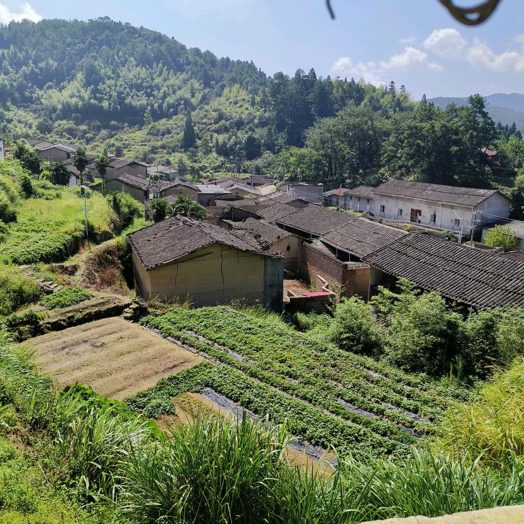 每好早晨