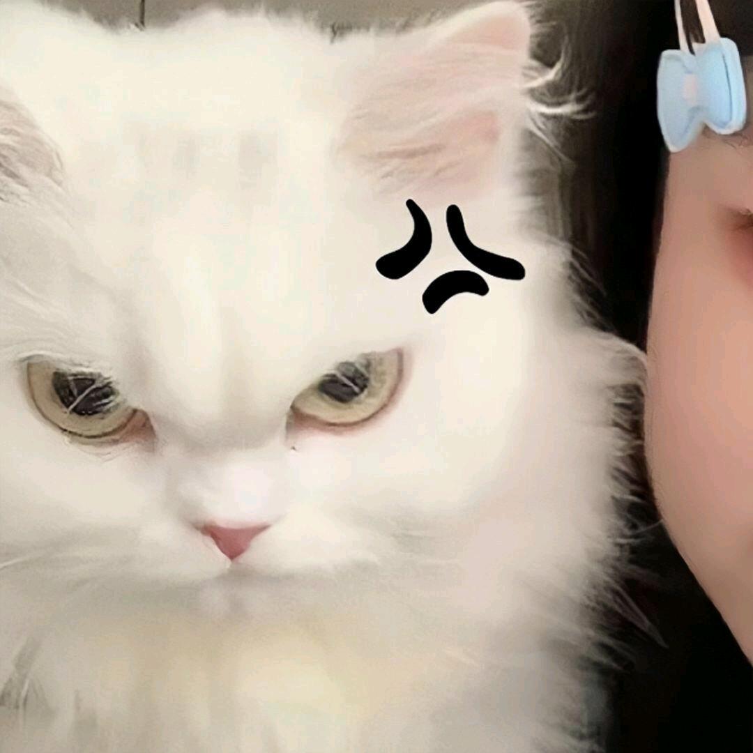 小木