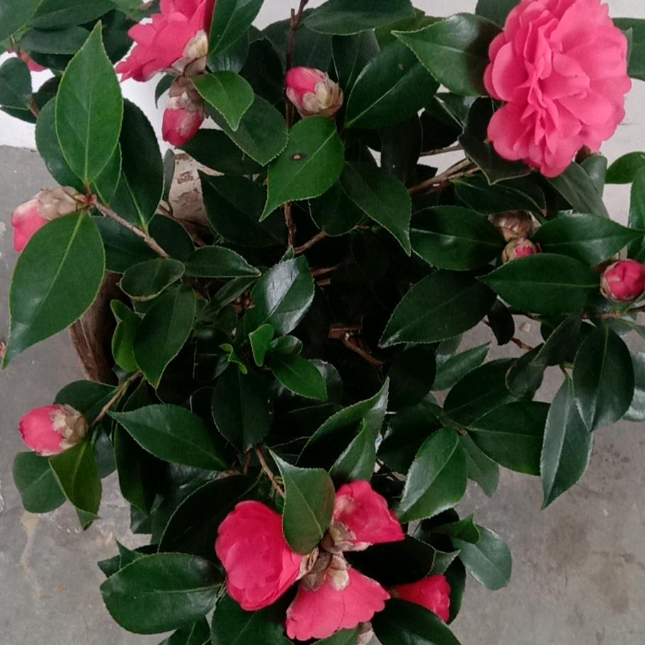 射进黑暗那束光。