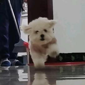 五凡(冲击2w粉)