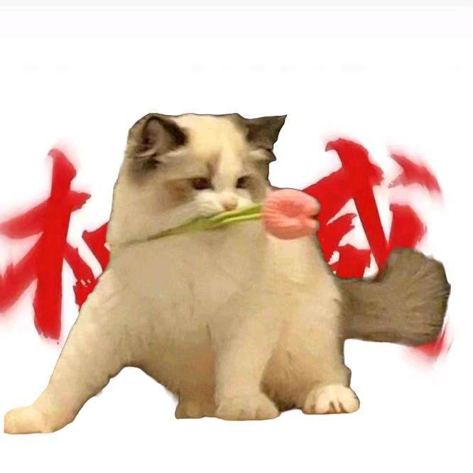 南初