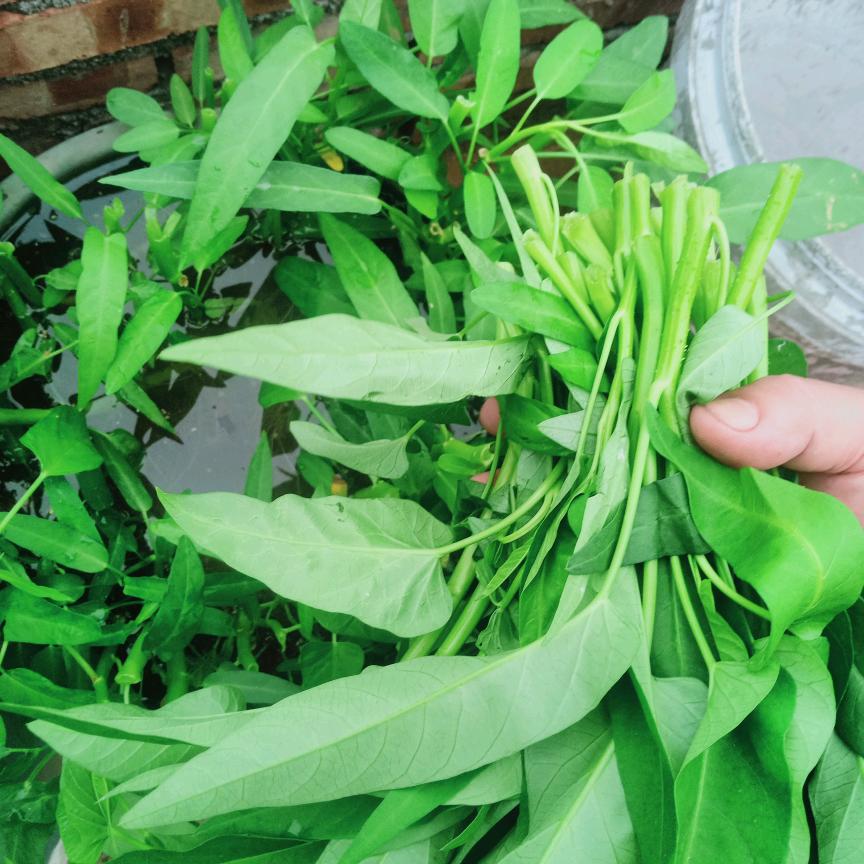 爆力棉花糖