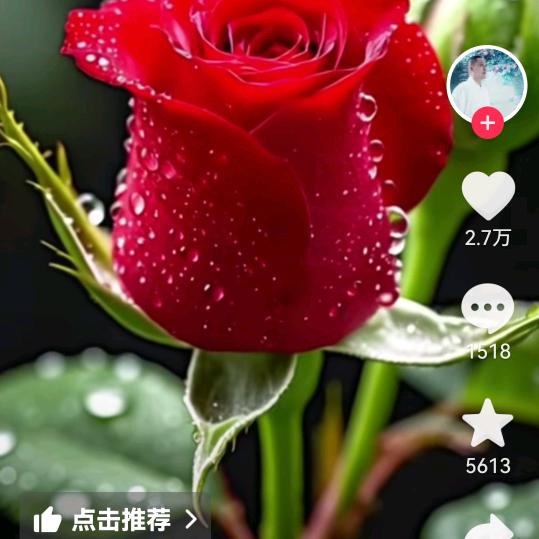 鸿运开头