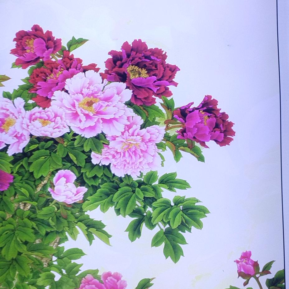 🇨🇳吉祥安康