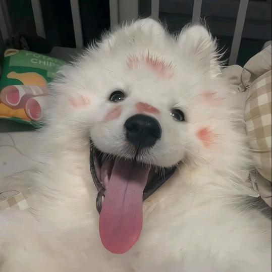 往死里吃葱花香菜