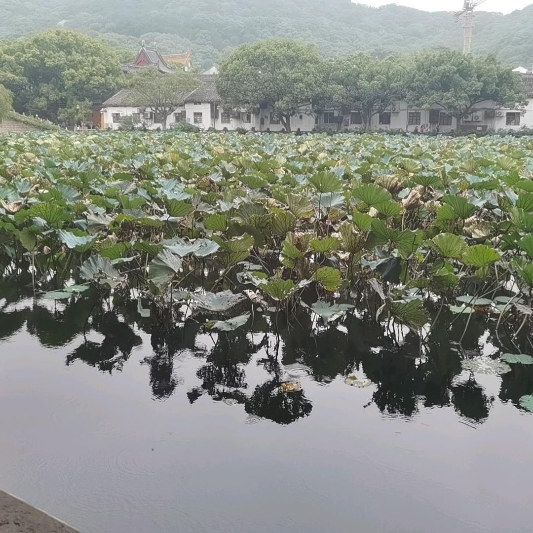 石狮市奔逸服装有限公司