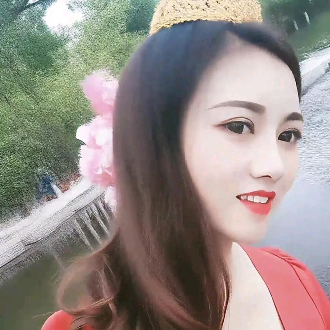 单只蝴蝶