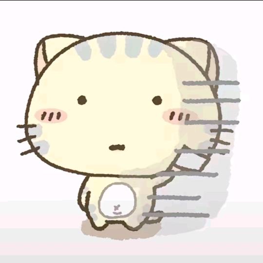 福建权志龙