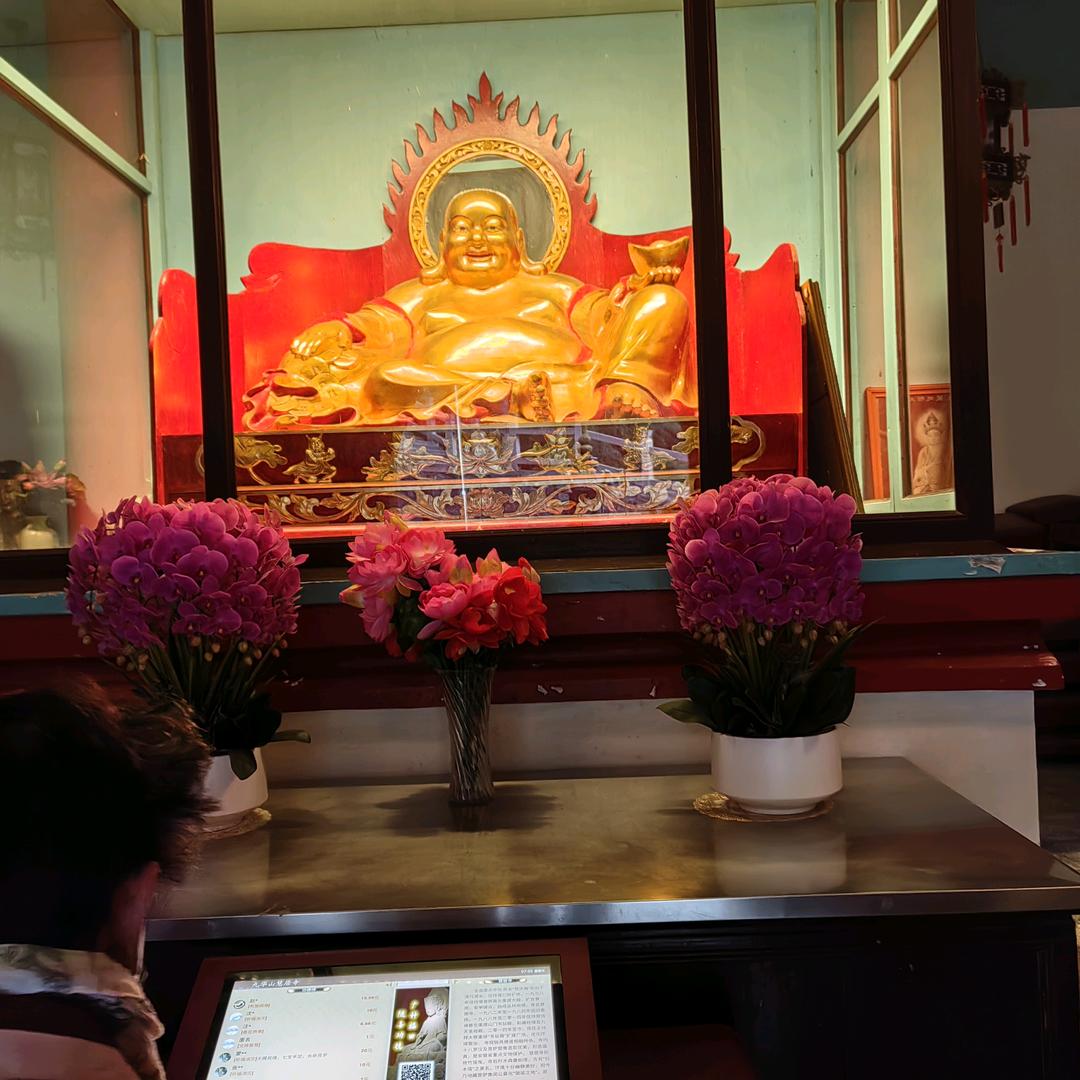 槐树下面悟人生