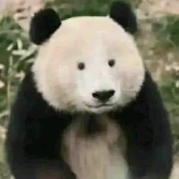 火烧眉超疯🃏（弹幕游戏）