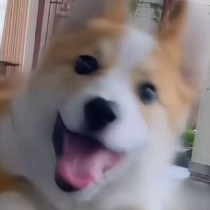 阿基米德