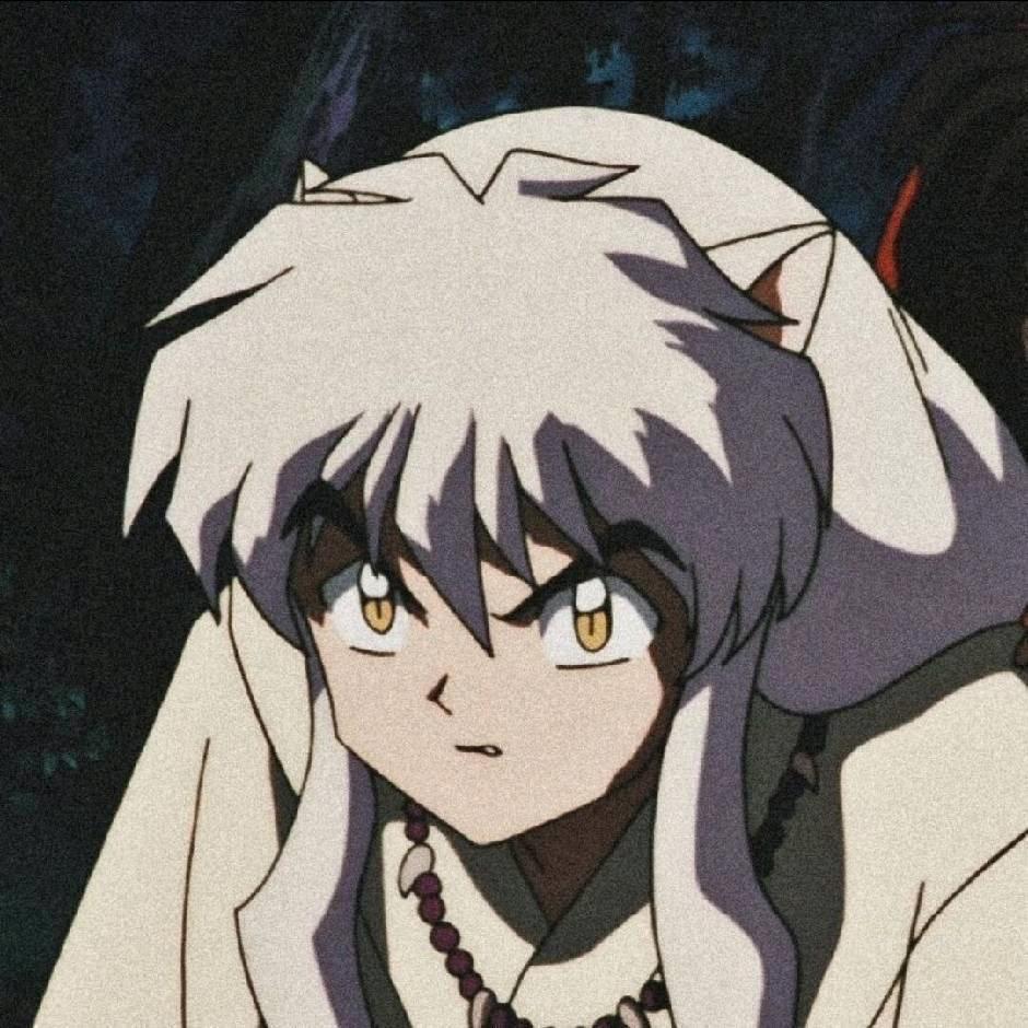 白洋zz（期末版）