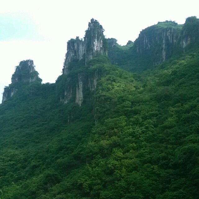 土豆长得像马铃薯