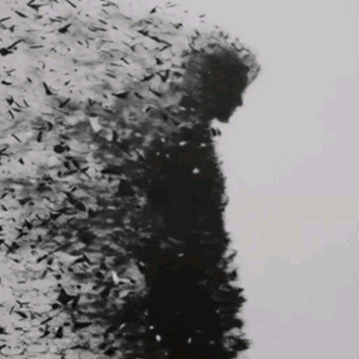 落子无悔🍃