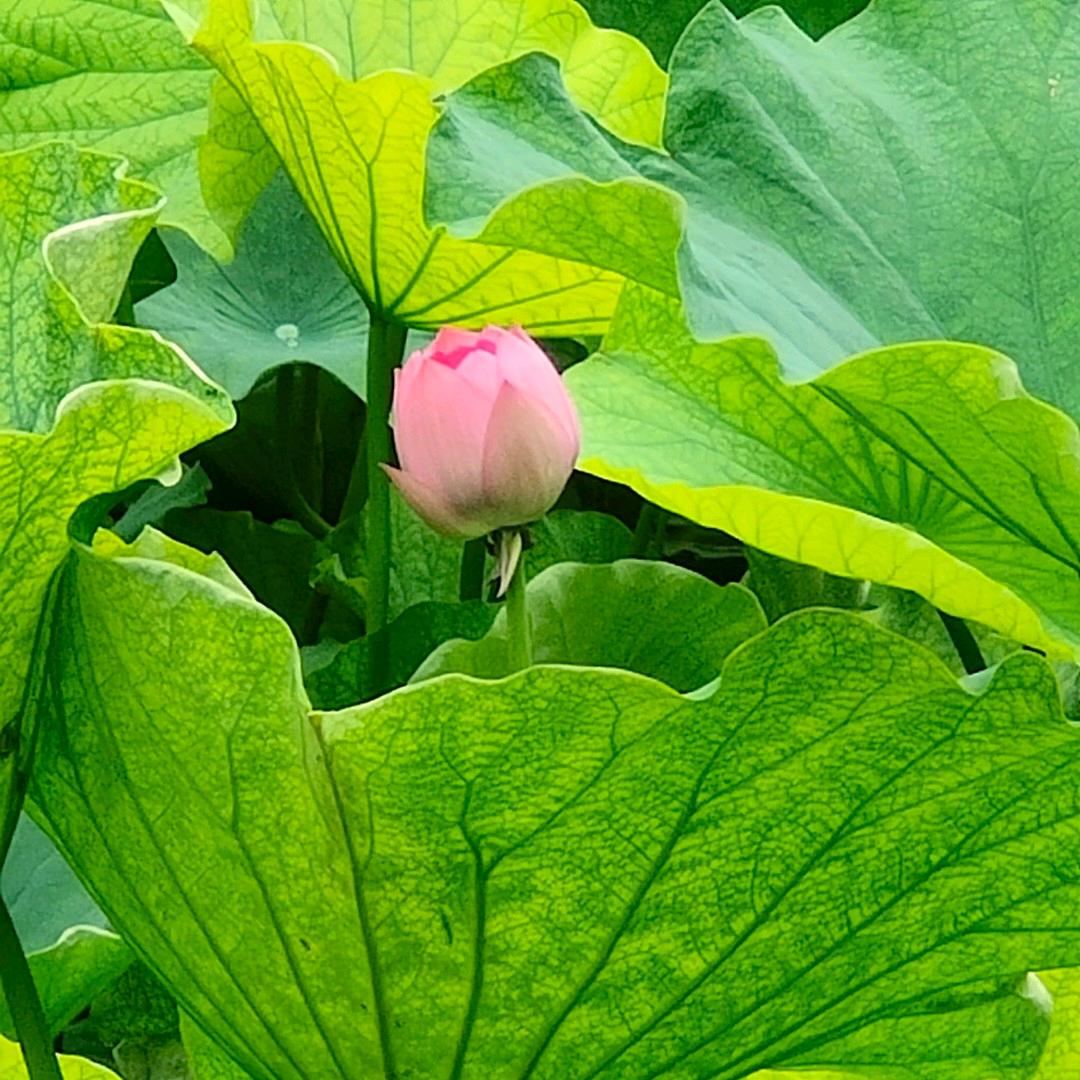 ( ｰ̀εｰ́ )幸福常伴(๑><๑）