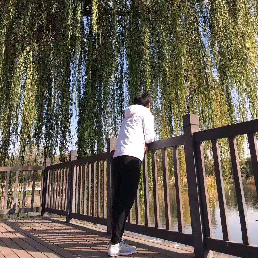 武术@