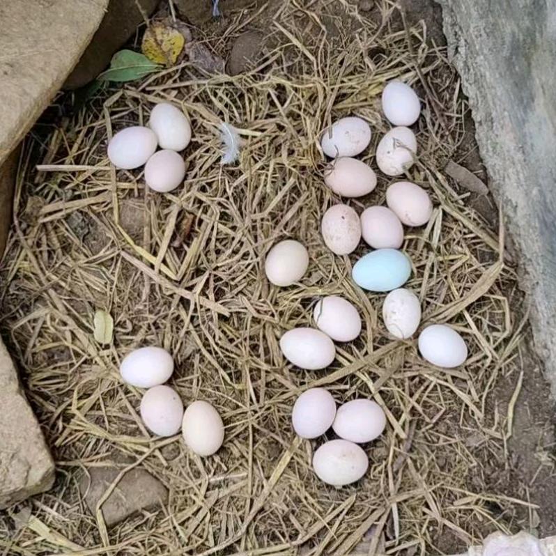 宜昌菜大叔农产品