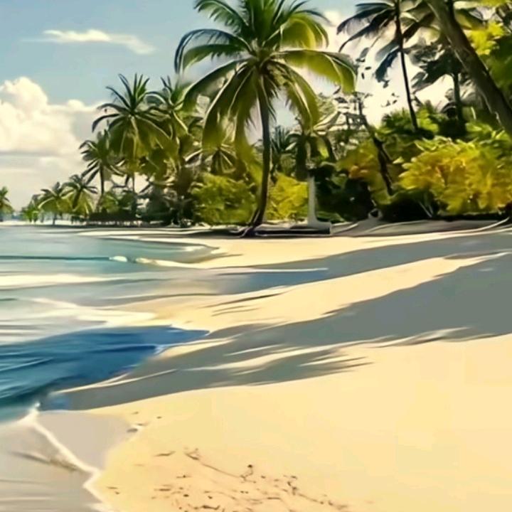 顺试而为
