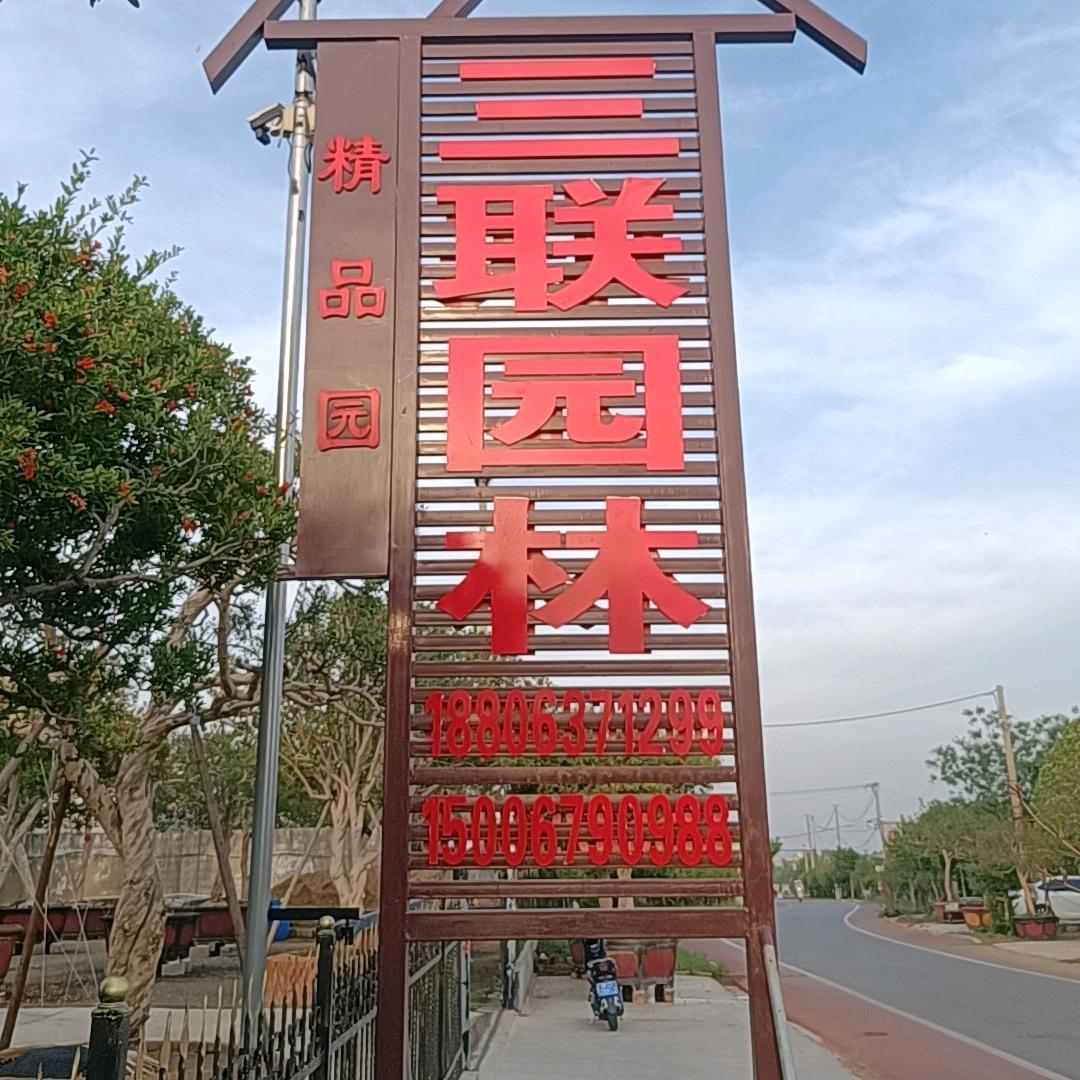 三联果业