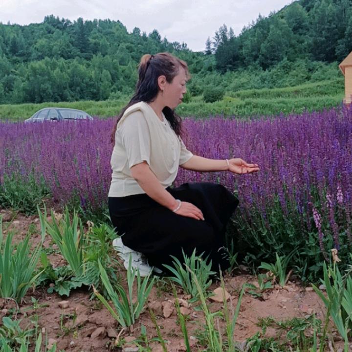 ꧔ꦿ᭄🌸 回眸💫 一笑💞᭄