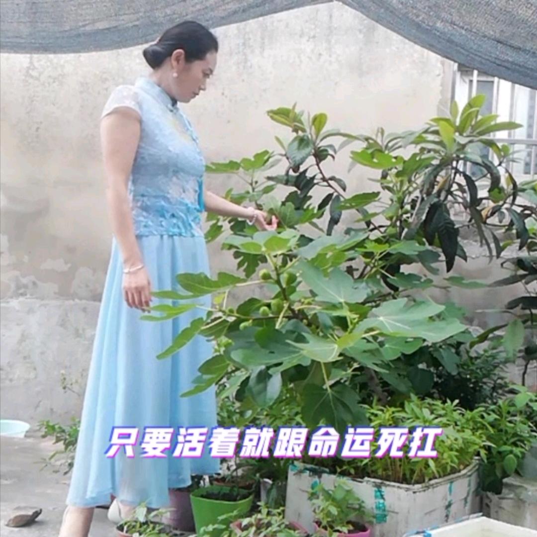 吉祥如意🌾💕