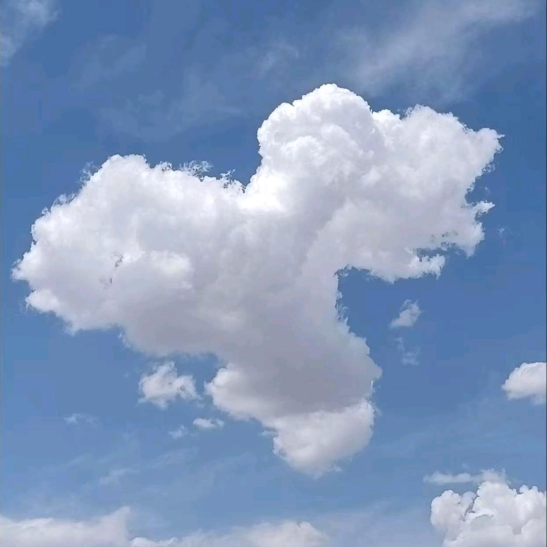 豫见～混混