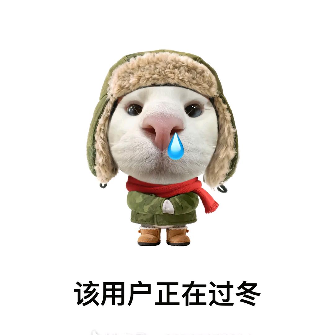 路小雨