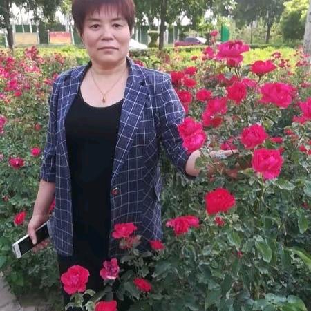 出售加气块红砖