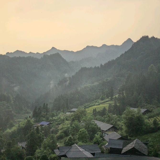 身无彩凤双飞翼