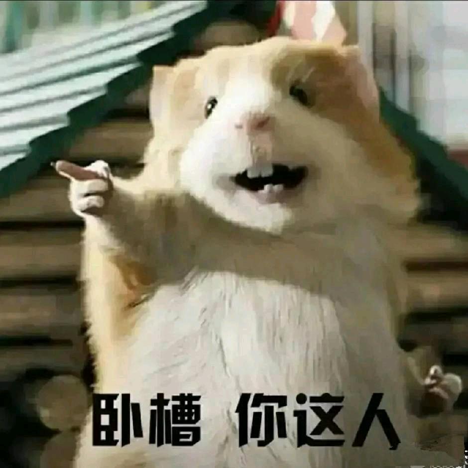 肥硕的王瑾