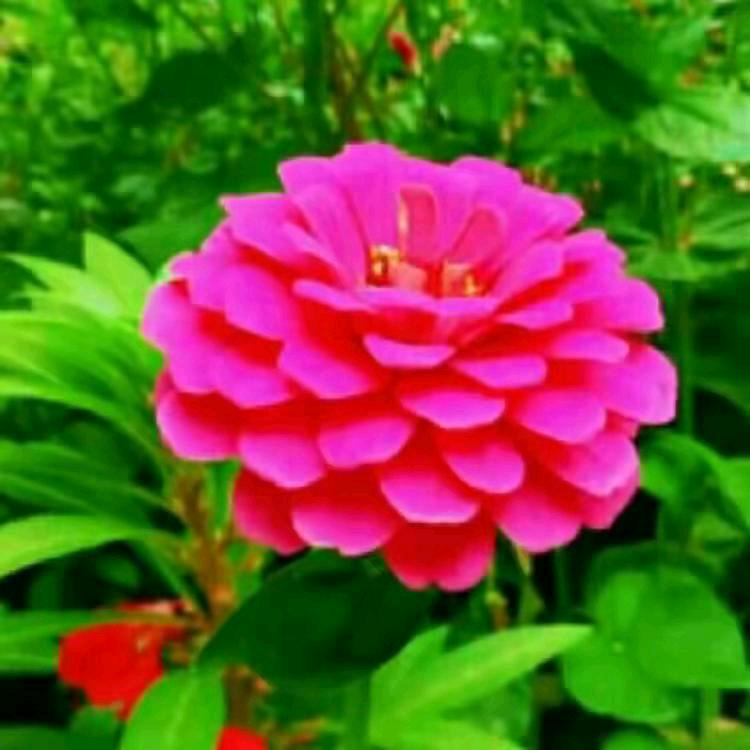 70后，岳来岳好