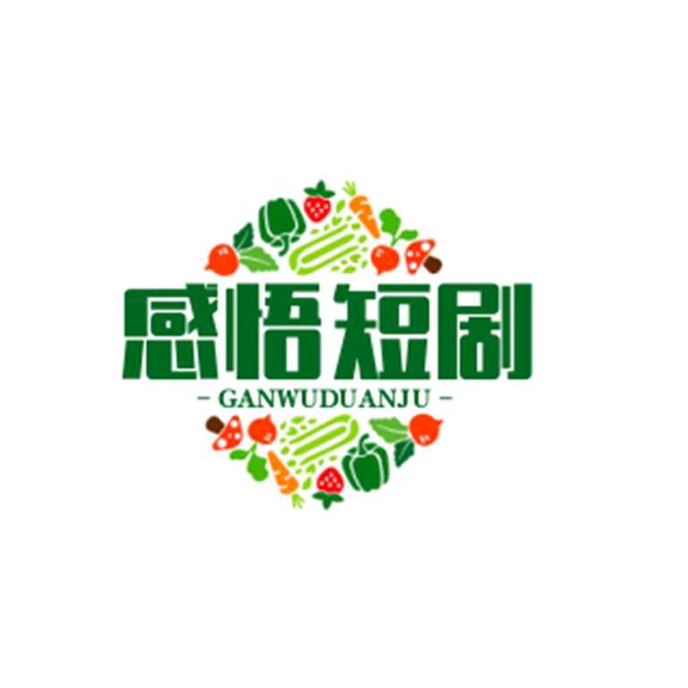 感悟短剧