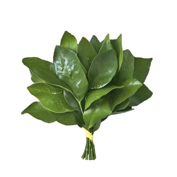 卡萨帝高端厨电