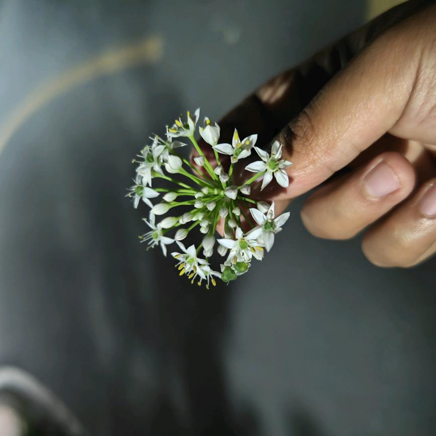 以后以后的以后