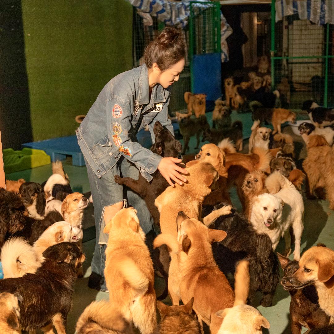 常州爱心榕儿姐和她的流浪毛孩