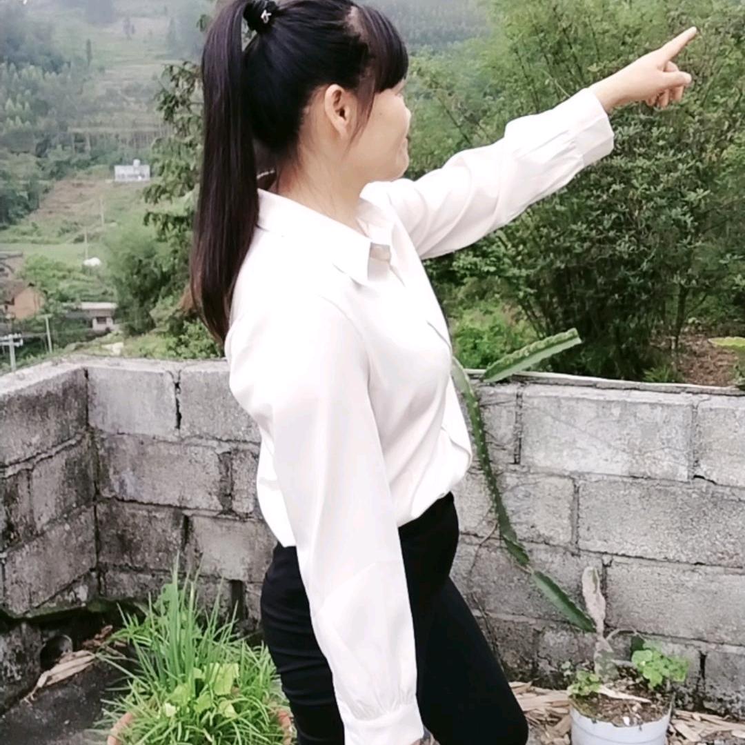 蓝家二姐