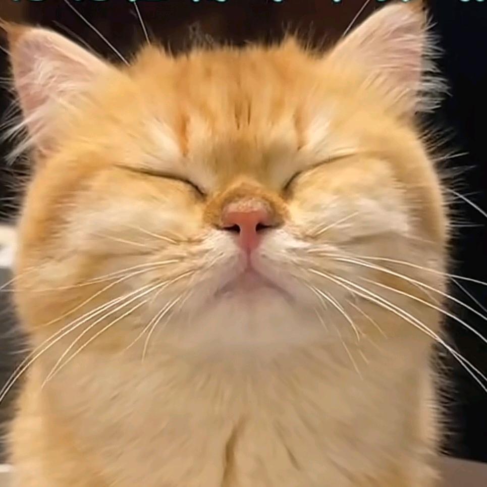 星云🌟☁️
