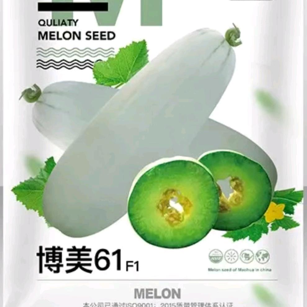 甜瓜幸运满满