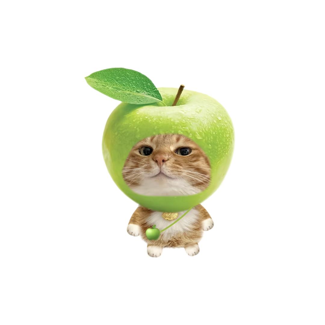 Tsuki
