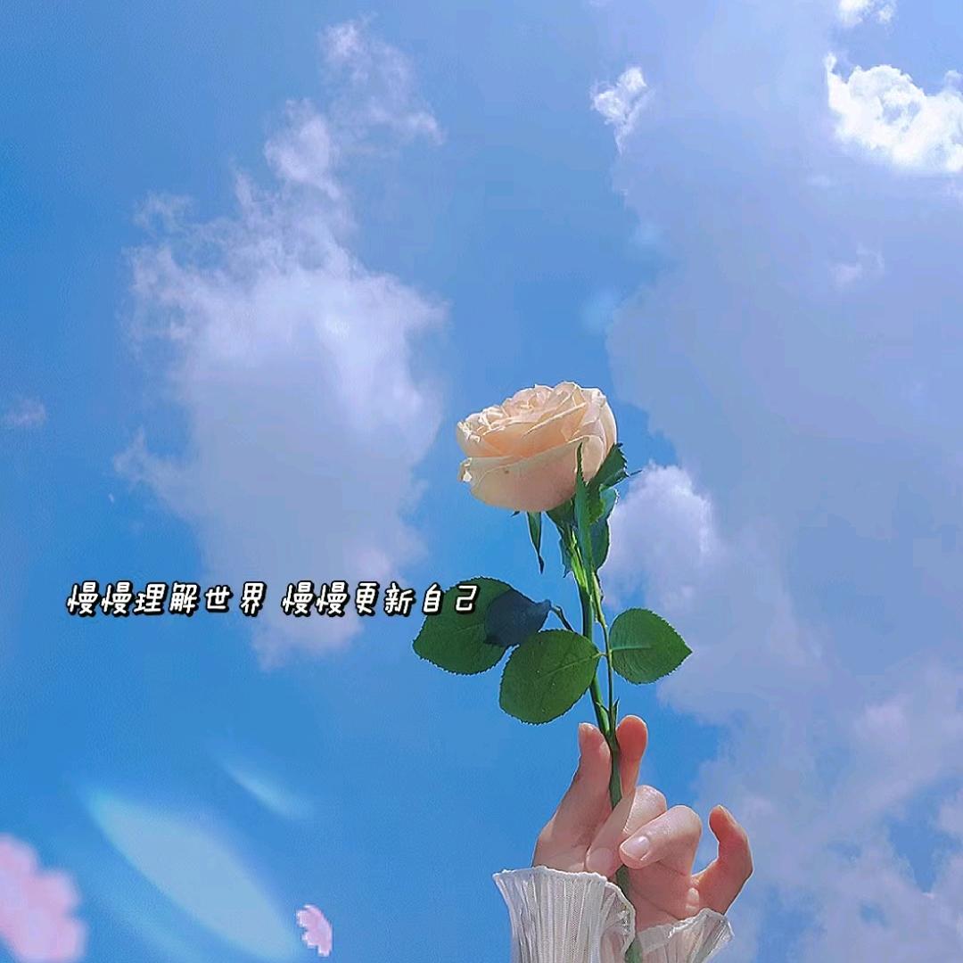 美女的事你少管