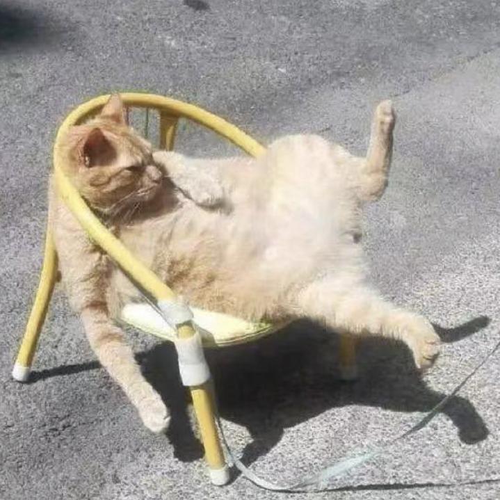 d(ŐдŐ๑)
