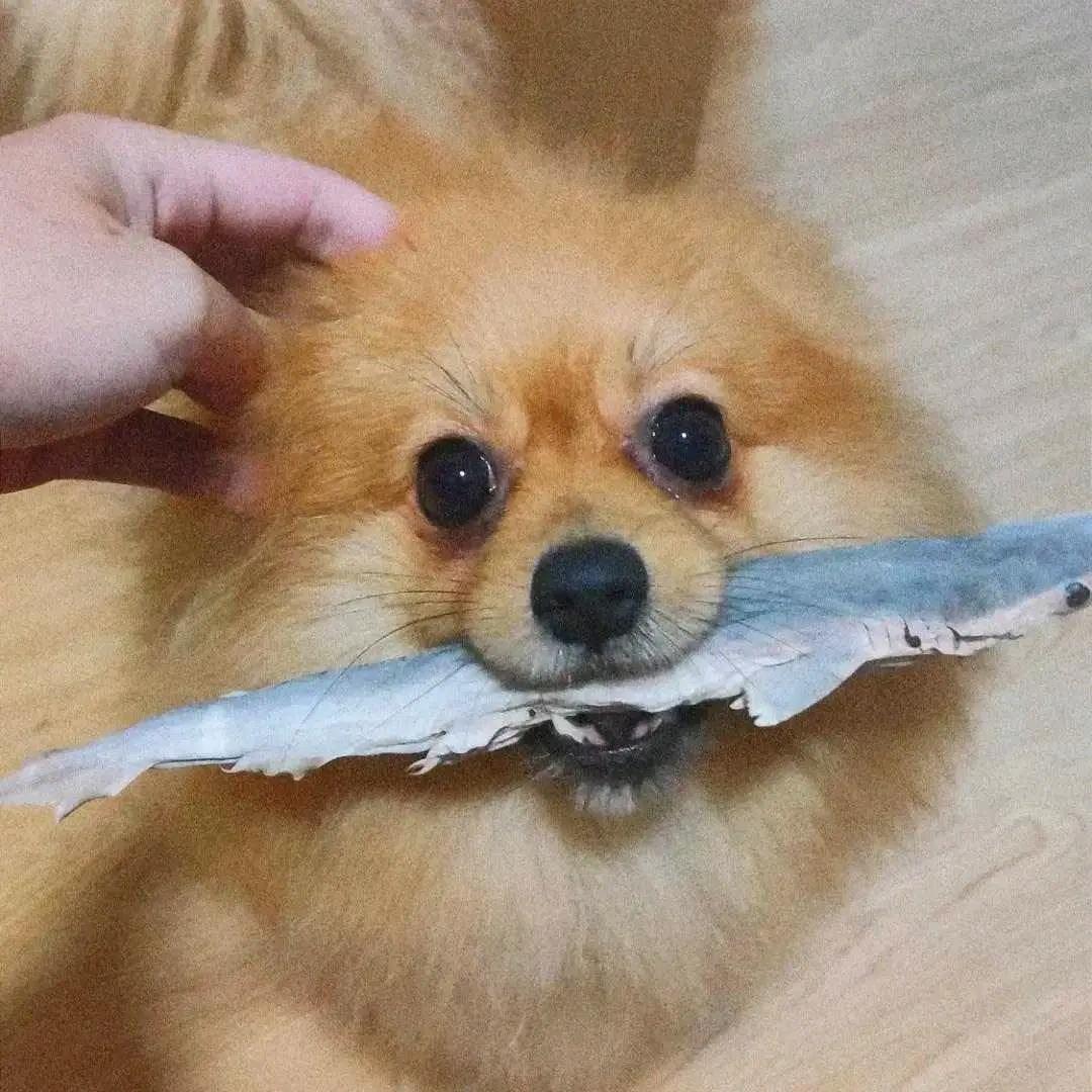 发财和虎皮面包