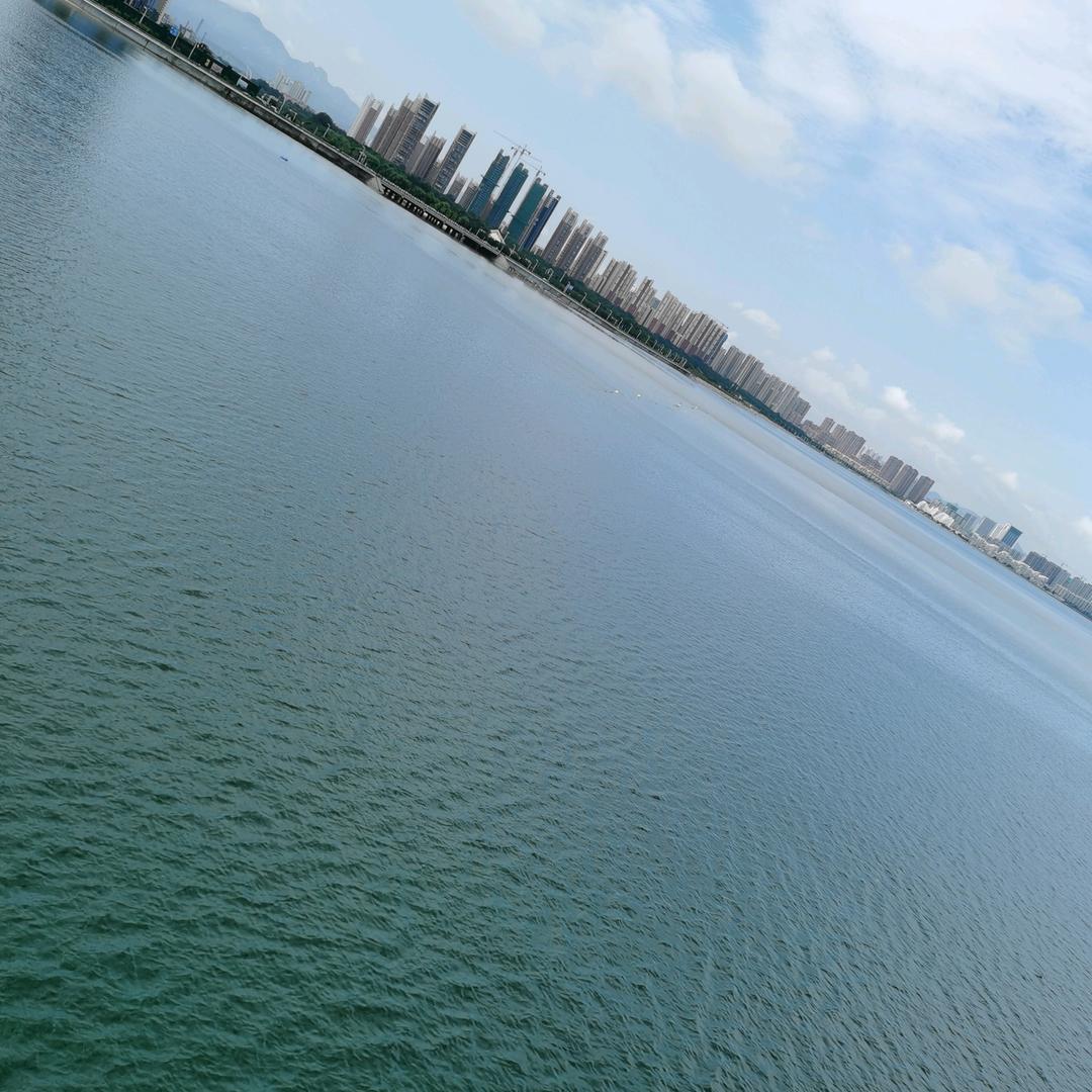 尼咪（河北）宠物用品有限公司