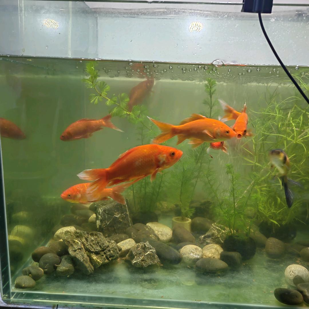 顺心顺意