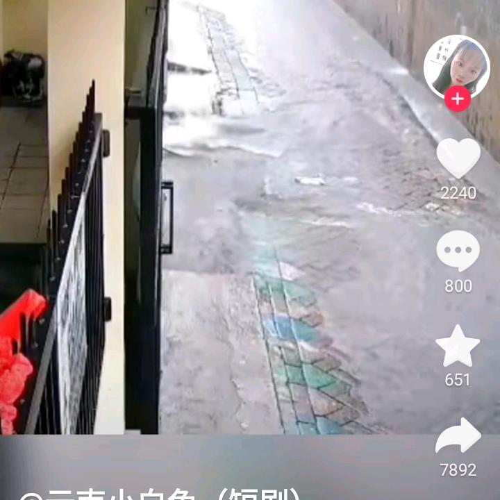 风止意难平