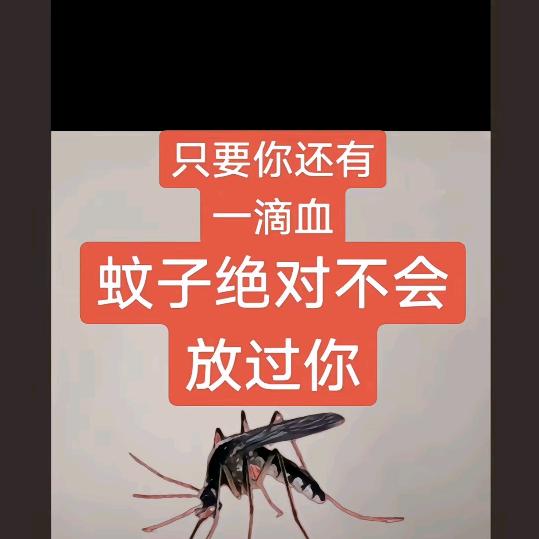 D，飘荡在海洋里的父亲