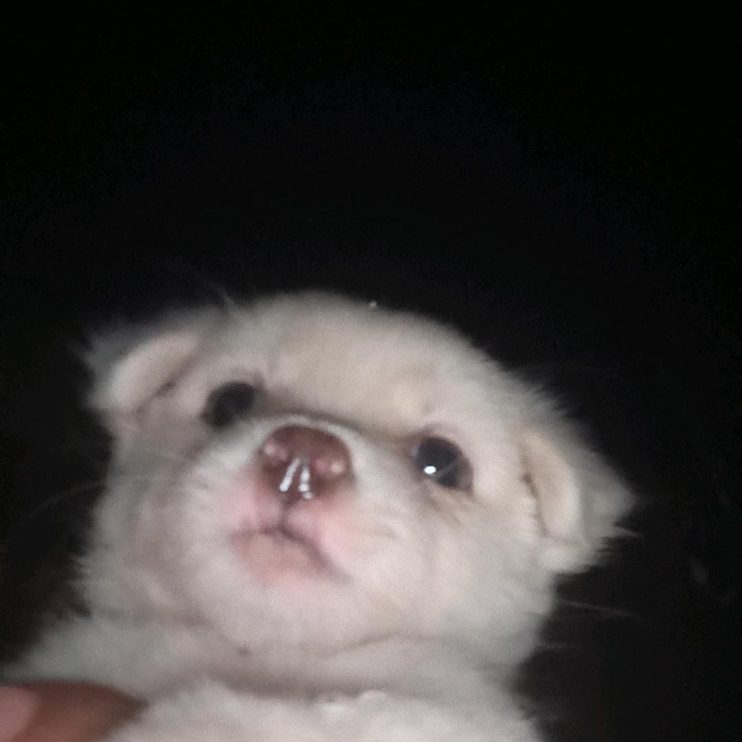 等