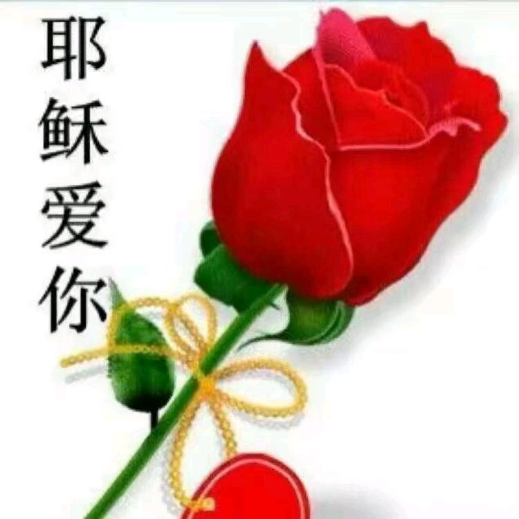 胡忠莲