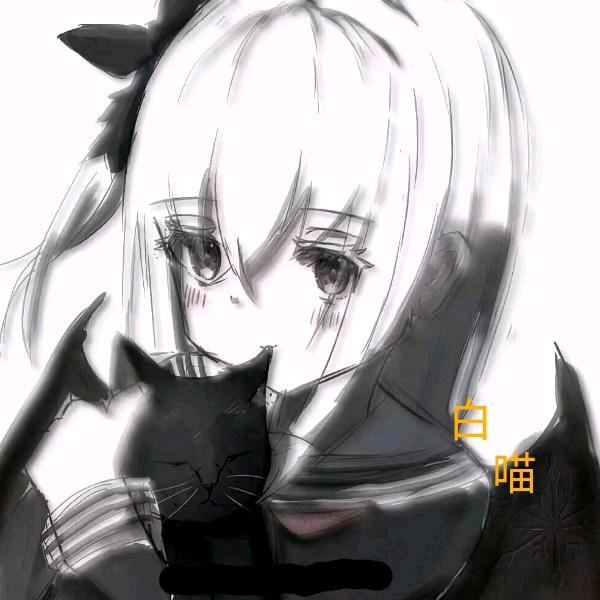 白喵吖