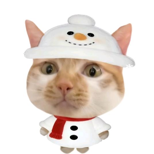 Aaaa批发水果李姐